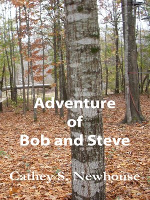 cover image of Adventure of Bob and Steve